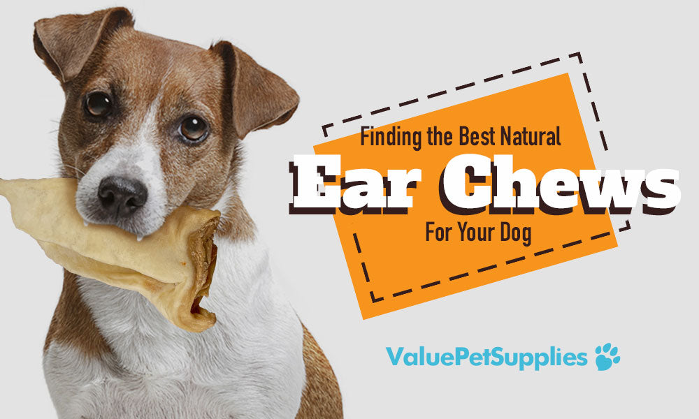 Ear Chews Dogs Value Pet Supplies