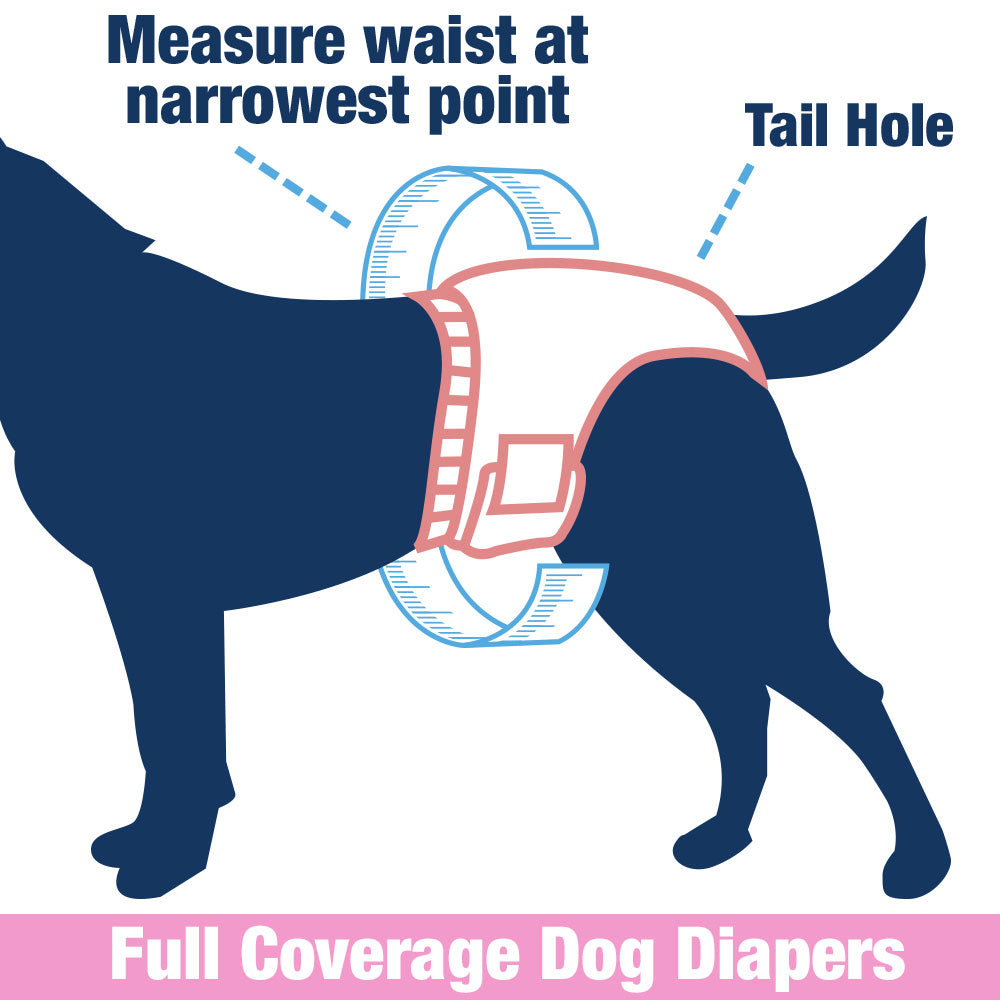 Medium dog diapers hotsell