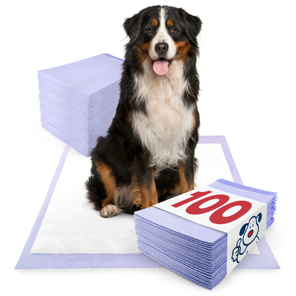 Extra large puppy clearance pads